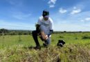 Reforestación de Tequila Don Julio y CNIT; plantan mil árboles en zona agavera