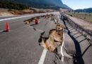 Transportistas ya no pueden más con el estado de la red carretera