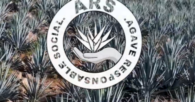 Avanza la certificación Agave Socialmente Responsable; ya suma 842 agaveros