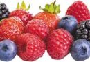 Industria de berries genera derrama económica de 500 millones de pesos semanales; reconocen que no atraviesan tiempos de bonanza