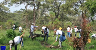 Agroindustria tequilera llega al Bosque de La Primavera con labores de reforestación